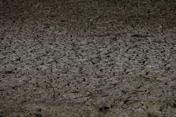 Gebarsten Zwarte Oppervlak Van Vruchtbare Grond Ernstige Droogte Een Mager — Stockfoto