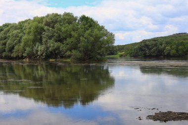 Çok güzel nehir suyu yüzeyi. Doğal yeşil arka plan. Seçici odak