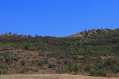 Şehrin dışındaki açık bir alanda kırsal tarım geçmişi