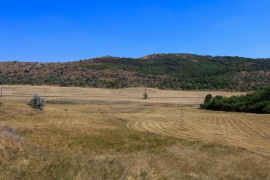Şehrin dışındaki açık bir alanda kırsal tarım geçmişi