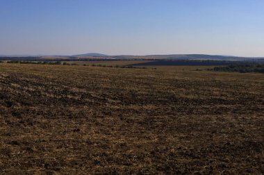 Şehrin dışındaki açık bir alanda kırsal tarım geçmişi