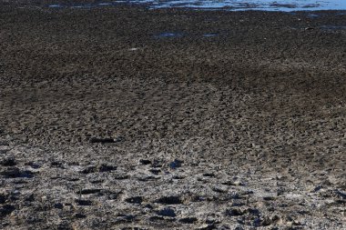 Zayıf bir yılda şiddetli kuraklıkta, verimli toprağın kara yüzeyi çatlamış. Özenle seçilmiş bir geçmişi var.