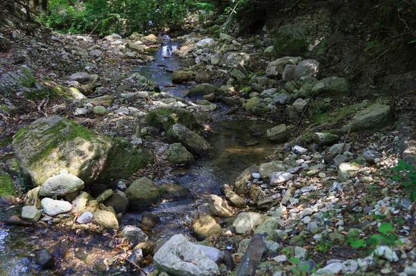 Wilde Felsige Natur Mit Einem Bach Hintergrund Wasser Ist Die — Stockfoto