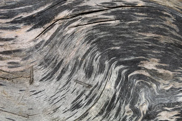 Ungewöhnliche Gewellte Textur Der Schnittfläche Aus Natürlichem Altem Holz Hintergrund — Stockfoto
