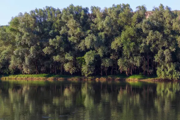 非常漂亮的河流水面 天然绿色背景 有选择的重点 — 图库照片