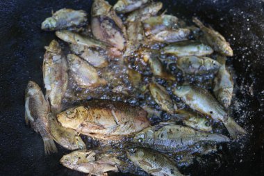 Balık tuttuktan sonra ateşte balık kızartma işlemi. Bulanık arkaplan ile seçmeli odak