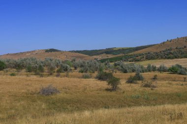 Şehrin dışındaki açık bir alanda kırsal tarım geçmişi
