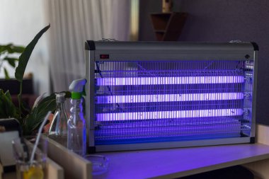Kafe teraslarındaki böceklerin imhası için sivrisinek lambası çalışıyor. Seçici odaklı ve bulanık arkaplan
