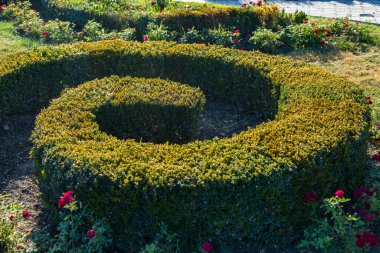 Güzel düzenlenmiş kamusal alanı olan soyut bir arkaplan. Mükemmel peyzajı olan bir şehir parkı. Çevre dostu iyi bir şehir ortamı. Seçici odak