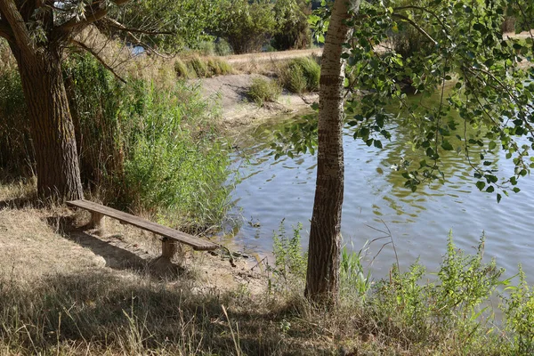 Een Oude Houten Bank Aan Het Meer Voor Ontspanning Vissen — Stockfoto