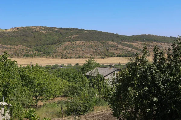 Fundo Agrícola Rústico Campo Aberto Fora Cidade — Fotografia de Stock