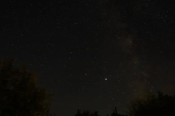 Cielo Estrellado Oscuridad Noche Agosto Fondo Muy Bonito —  Fotos de Stock