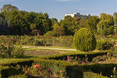 Güzel düzenlenmiş kamusal alanı olan soyut bir arkaplan. Mükemmel peyzajı olan bir şehir parkı. Çevre dostu iyi bir şehir ortamı. Seçici odak