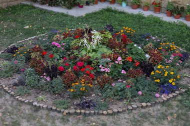 Çok güzel bir çiçek yatağı. Çevre düzenlemesi ve yeşillendirmesi. Güzel yeşil kentsel alanın resmedilmesi için soyut arkaplan.