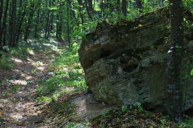Doğu Avrupa 'nın vahşi kayalık doğası, güzel manzaralı arka plan