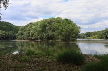 Çok güzel nehir suyu yüzeyi. Doğal yeşil arka plan. Seçici odak