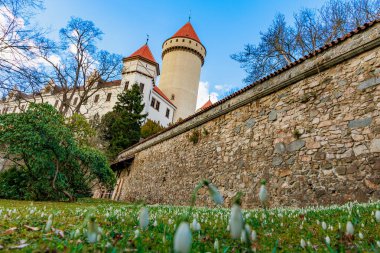 Taş duvarları ve manzaralı bahçesinde kırmızı taretleri olan tarihi ortaçağ şatosu..