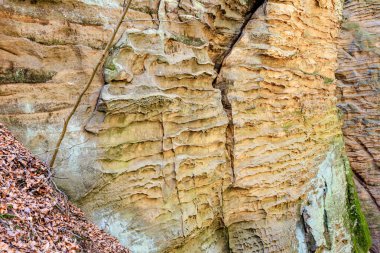 Ormanda doğal desenleri ve kaya oluşumları olan aşınmış kumtaşı kayalıkları..