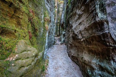 Bereketli yeşil orman kanyonu manzarasında dar kayalık yol.