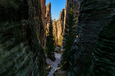Dar kanyonda bereketli ağaçlar ve açık mavi gökyüzü olan görkemli kumtaşı oluşumları..
