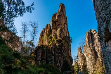 Görkemli kumtaşı kayalıkları ve gür orman manzarası berrak mavi gökyüzünün altında..