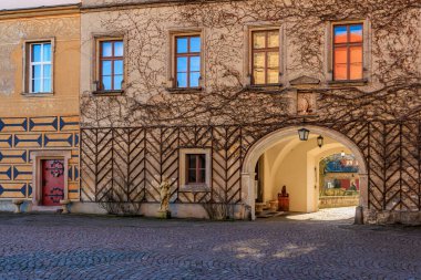 Sarmaşık kaplı duvarları ve kemerli geçidi olan tarihi Avrupa avlusu. 16 Mart 2025, Hruba Skala Şatosu, Çek Cumhuriyeti.