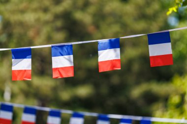 Açık havada kutlanan Fransız bayrakları..