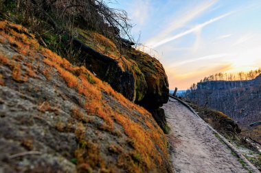 Gün batımında canlı yosunlarla kayalık arazide manzaralı yürüyüş yolu.