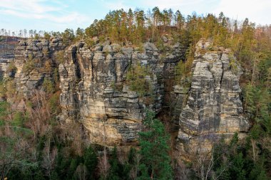 Manzaralı çam ağaçları olan görkemli kumtaşı kayalıkları..