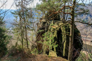 Çam ağaçları ve nehir manzaralı kayalık bir arazi..