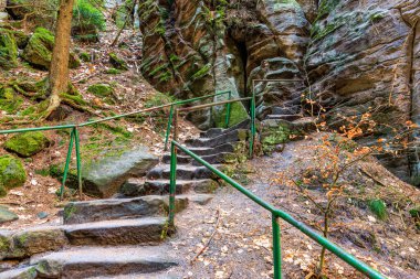 Yosun kaplı kayalarla dolu ormanın içinden geçen taş merdiven..