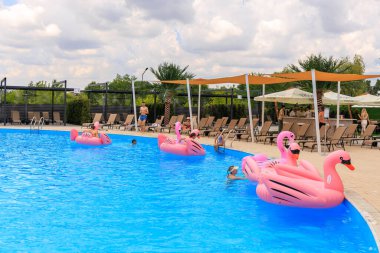 Bir grup insan, havuzda pembe şişme flamingolarla eğleniyor. Havuz şezlonglar ve şemsiyelerle çevrili, rahatlatıcı bir atmosfer yaratıyor. 8 Haziran 2024 Balti Moldova