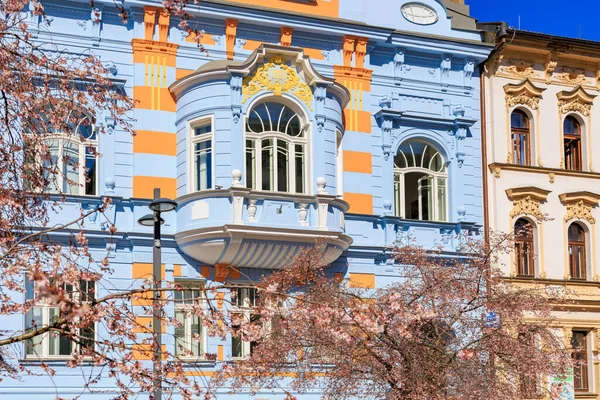 Şehir ortamında bahar çiçekleri açan renkli tarihi mimari. 21 Mart 2025, Ceske Budejovice, Çek.
