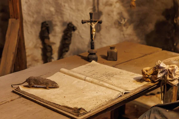 Açık kitap, sıçan, haç ve eldivenlerin tozlu masada olduğu klasik bir çalışma. 18 Mart 2025, Madalyon, Çek Cumhuriyeti.