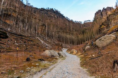 Çıplak ağaçlar ve engebeli araziyle kayalık geçitten geçen yol.