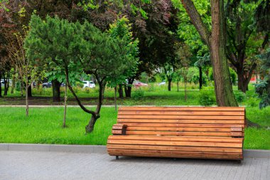 Ağaçlar ve patikalarla çevrili yemyeşil parktaki boş ahşap bank.