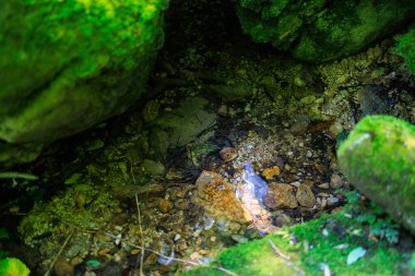 Küçük bir su akıntısı kayalar ve yosunlarla çevrilidir. Su berrak ve kayalar kahverengi. Yosun yeşildir ve kayaları kaplar. Huzurlu ve huzurlu bir sahne.
