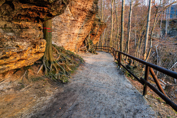 Serene nature trail along rocky cliffside in autumn forest landscape.