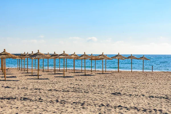 Saman şemsiyeli sakin kumsal berrak gökyüzünün altında sakin mavi deniz.