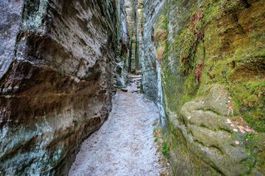 Orman arazisindeki yosunlu kanyon boyunca dar kayalık yol.
