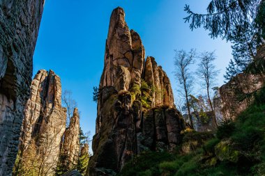 Adrspach-tepeciklerindeki görkemli kaya oluşumları Czech Cumhuriyet ormanlarını kayalara çeviriyor..