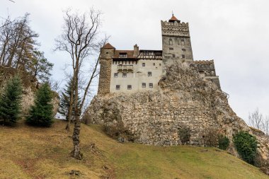 Kale bir tepenin üzerinde, önünde bir ağaç var. 16 Aralık 2024 Bran Romanya.