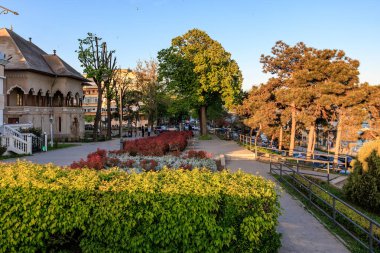 Baharda yemyeşil ve canlı yeşilliklerle dolu manzaralı bir park yolu. 3 Mayıs 2025 Romanya.