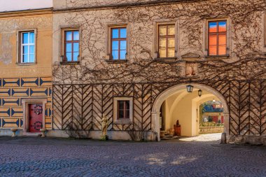 Sarmaşık kaplı duvarları ve kemerli geçidi olan tarihi Avrupa avlusu. 16 Mart 2025, Hruba Skala Şatosu, Çek Cumhuriyeti.