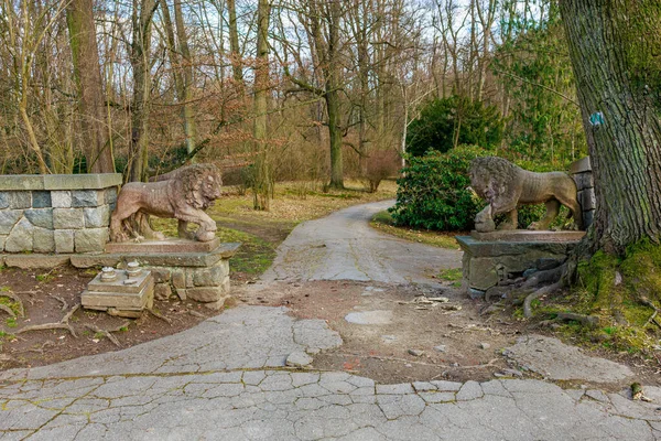 İlkbahar orman ortamında orman yolunu koruyan taş aslan heykelleri. 17 Mart 2025, Konopiste Şatosu, Çek Cumhuriyeti.