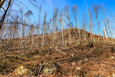 Açık mavi gökyüzünün altında ağaçsız, ağaçsız bir tepe..