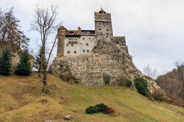 Kale bir tepenin üzerinde, önünde bir ağaç var. 16 Aralık 2024 Bran Romanya.