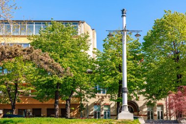 İlkbaharda yerleşim binası ve yemyeşil ağaçları olan tarihi şehir sokak lambası. 3 Mayıs 2025 Romanya.