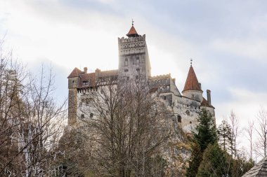 Dramatik gökyüzü ve yapraksız ağaçlarla kışın Transilvanya Şatosu.