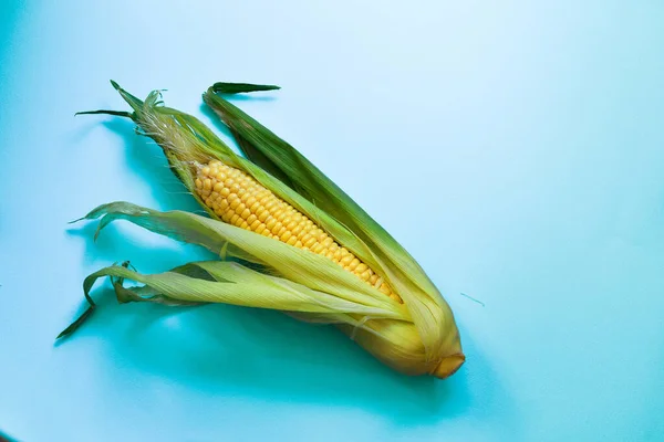 Одна Кукуруза Жёлтом Фоне Минимальная Концепция Питания Вид Сверху — стоковое фото